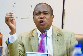 Mthuli Ncube