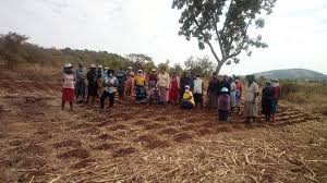 Pfumvudza/intwasa training