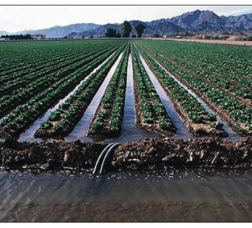 irrigation scheme