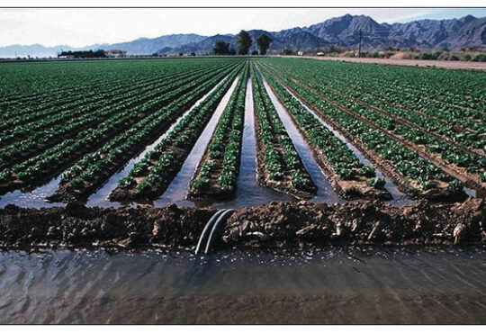 irrigation scheme