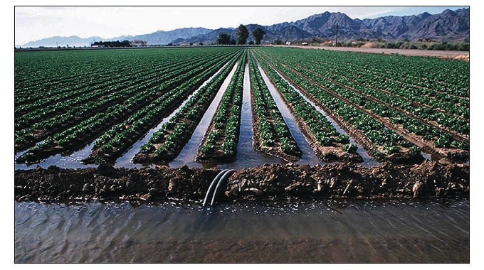 irrigation scheme